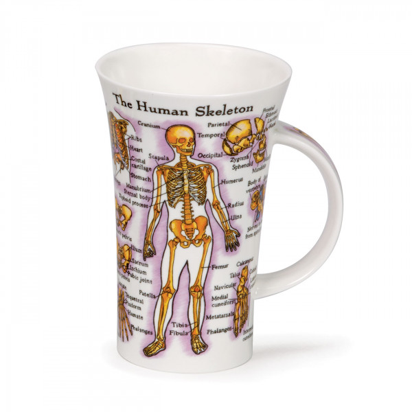 Glencoe Human Body Mug