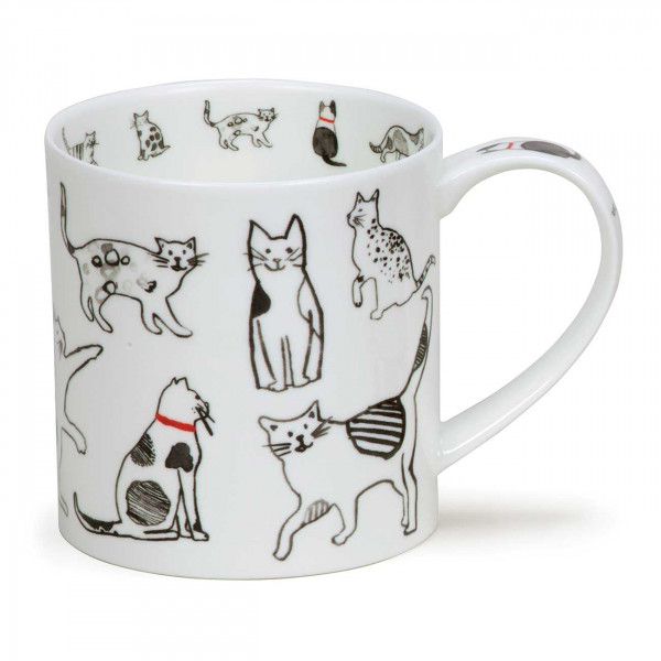 Becher Orkney Cat Co
