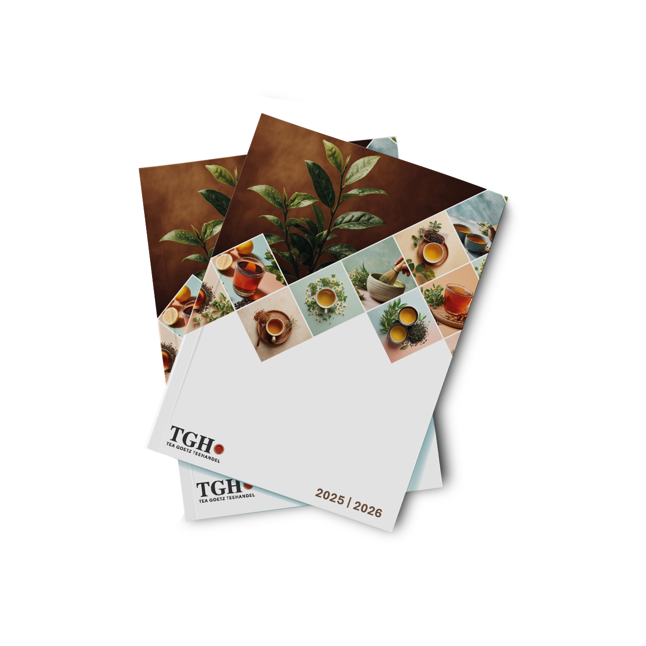 Mockup_Broschuere_TGH